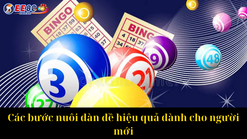Các bước nuôi dàn đề hiệu quả dành cho người mới