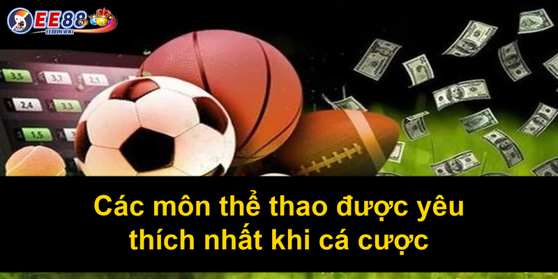Các môn thể thao được yêu thích nhất khi cá cược