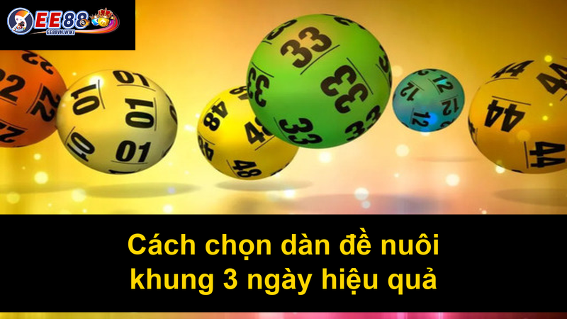 Cách chọn dàn đề nuôi khung 3 ngày hiệu quả