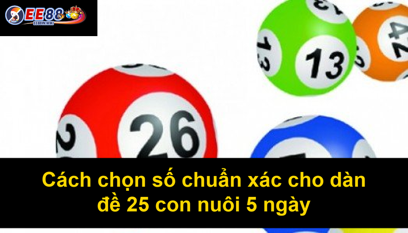Cách chọn số chuẩn xác cho dàn đề 25 con nuôi 5 ngày