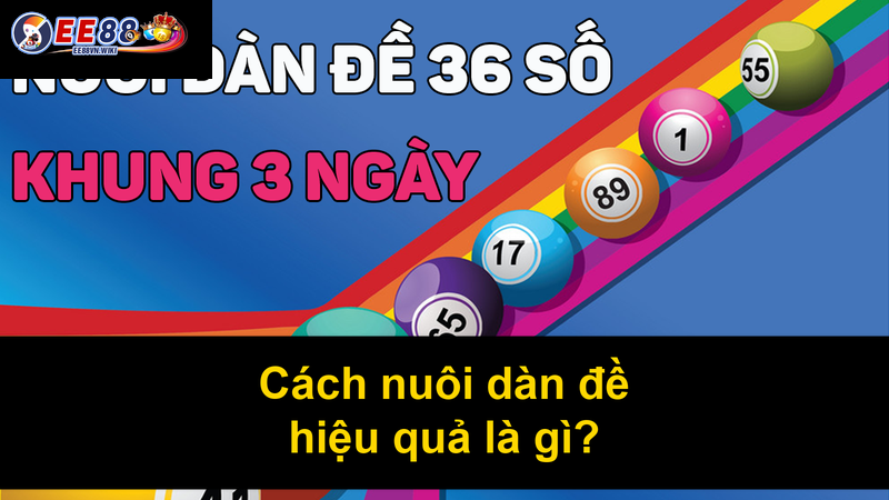 Cách nuôi dàn đề hiệu quả là gì