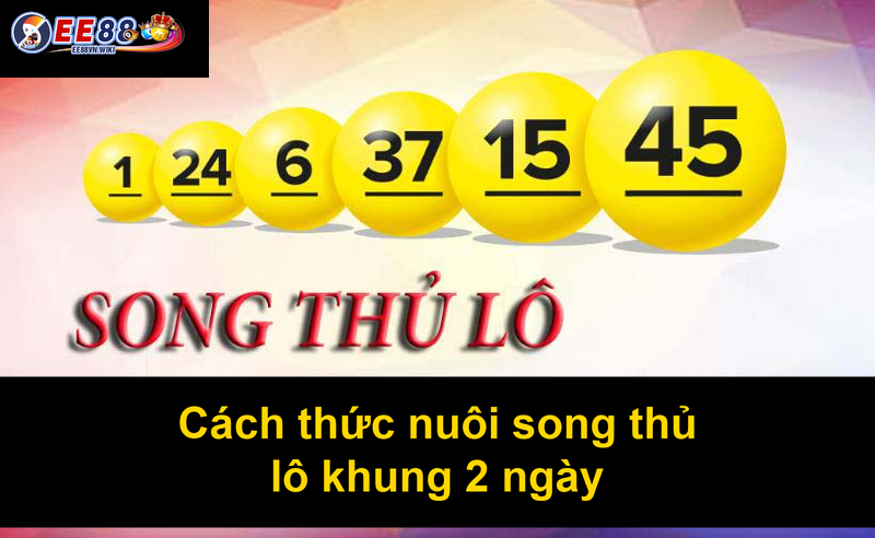 Cách thức nuôi song thủ lô khung 2 ngày