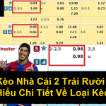 Chấp Kèo Nhà Cái 2 Trái Rưỡi Là Gì Tìm Hiểu Chi Tiết Về Loại Kèo Này