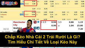 Kèo Bóng Chấp 1 Hòa Là Gì? Cách Đọc Và Kinh Nghiệm Đặt Cược