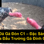 Đá Gà Đòn C1 Đặc Sản Của Đấu Trường Gà Đỉnh Cao