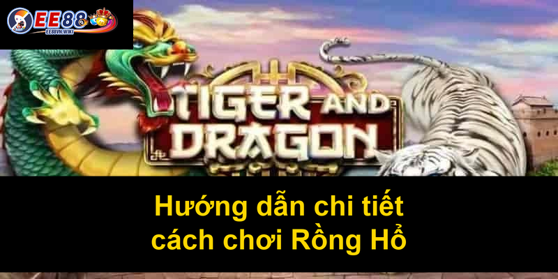 Hướng dẫn chi tiết cách chơi Rồng Hổ
