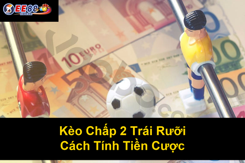 Kèo Chấp 2 Trái Rưỡi Cách Tính Tiền Cược Kèo Chấp 2 Trái Rưỡi Cách Tính Tiền Cược