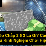 Kèo Chấp 25 3 Là Gì Cách Đọc Và Kinh Nghiệm Chơi Hiệu Quả