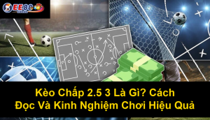 Chấp Kèo Nhà Cái 2 Trái Rưỡi Là Gì? Tìm Hiểu Chi Tiết Về Loại Kèo Này