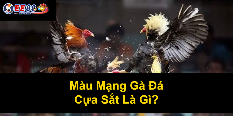 Màu Mạng Gà Đá Cựa Sắt Là Gì