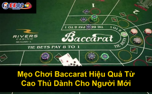 Hướng Dẫn Cách Chơi Poker Chi Tiết Nhất Cho Người Mới Bắt Đầu