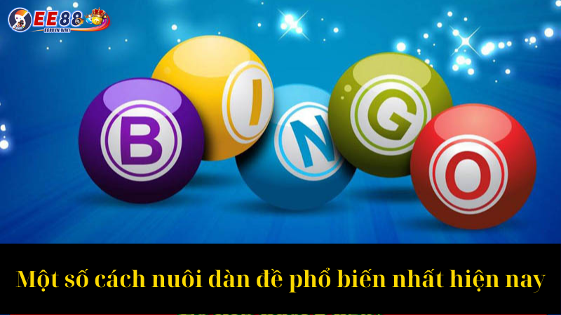 Một số cách nuôi dàn đề phổ biến nhất hiện nay