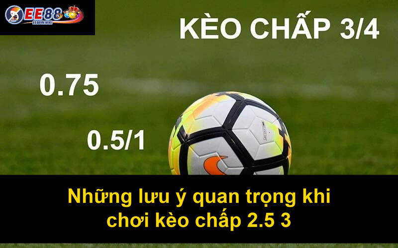 Những lưu ý quan trọng khi chơi kèo chấp 25 3
