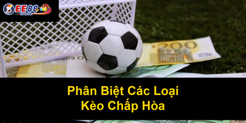 Phân Biệt Các Loại Kèo Chấp Hòa