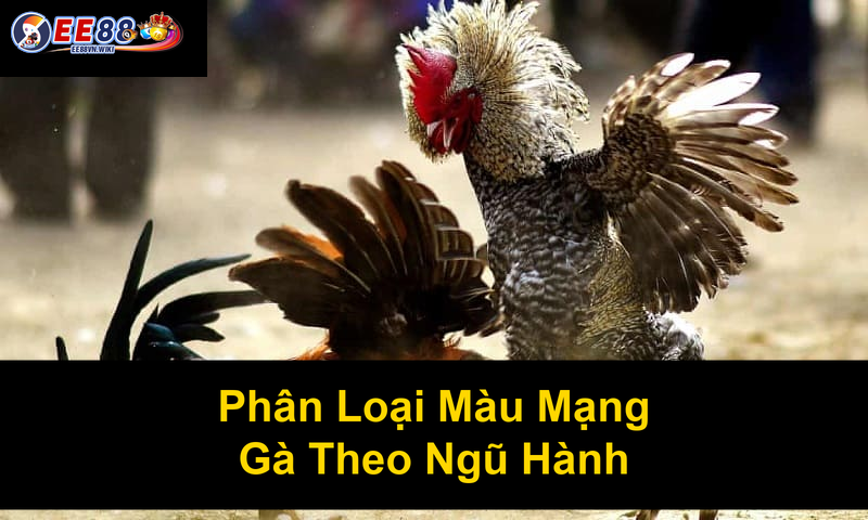 Phân Loại Màu Mạng Gà Theo Ngũ Hành