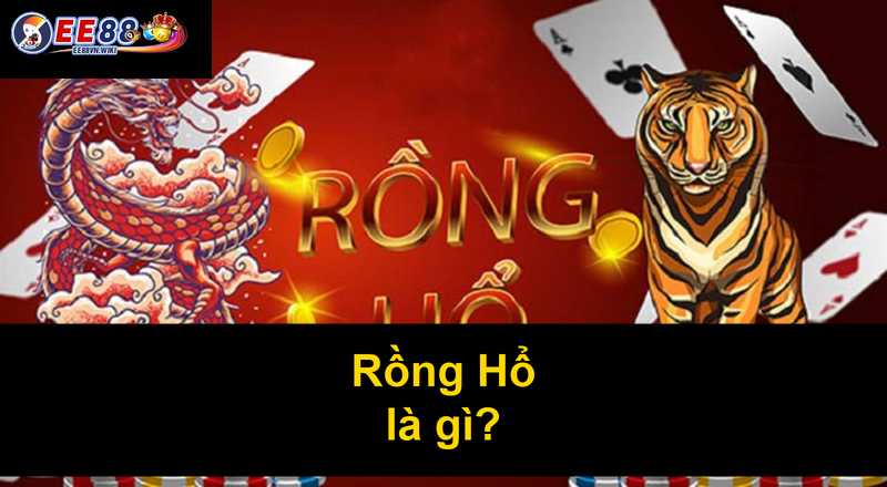 Rồng Hổ là gì
