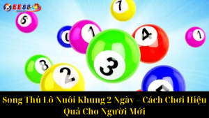 Lô Nuôi Khung 2 Ngày – Bí Quyết Tăng Tỷ Lệ Trúng Cao Nhất