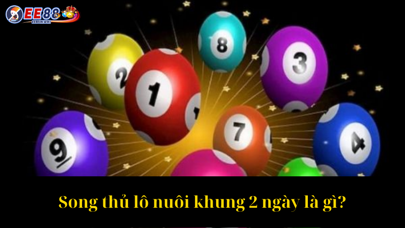 Song thủ lô nuôi khung 2 ngày là gì
