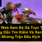 Trang Web Xem Đá Gà Trực Tuyến Hướng Dẫn Tìm Kiếm Và Xem Trực Tiếp Những Trận Đấu Kịch Tính