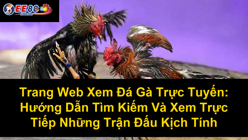 Trang Web Xem Đá Gà Trực Tuyến Hướng Dẫn Tìm Kiếm Và Xem Trực Tiếp Những Trận Đấu Kịch Tính