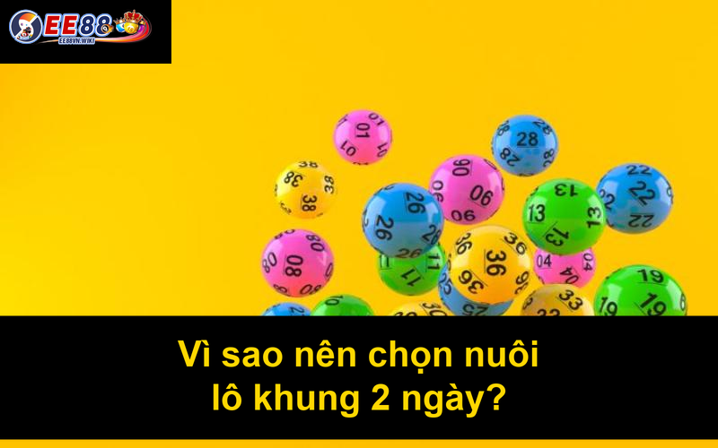 Vì sao nên chọn nuôi lô khung 2 ngày