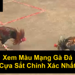 Xem Màu Mạng Gà Đá Cựa Sắt Chính Xác Nhất